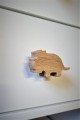 galka_triceratops.jpg