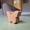 motyl3.jpg