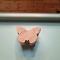 motyl5.jpg