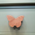 motyl6.jpg