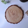 20260927_083701.jpg